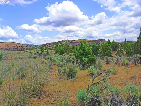 Wiley Creek Road Dayville OR 97825