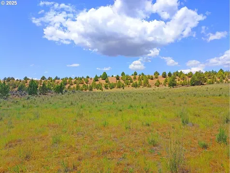 Wiley Creek Road Dayville OR 97825