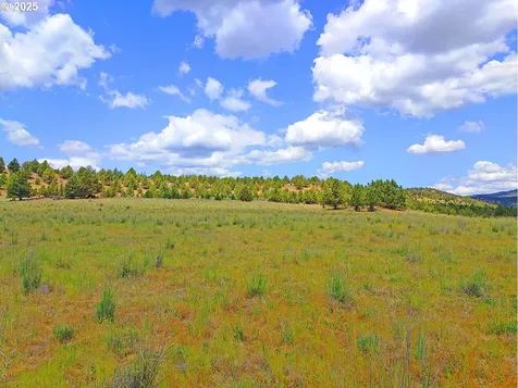 Wiley Creek Road Dayville OR 97825