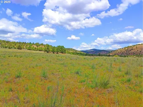 Wiley Creek Road Dayville OR 97825