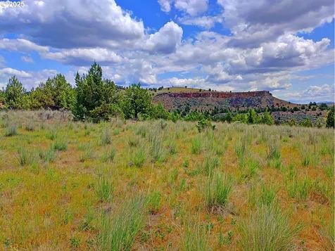 Wiley Creek Road Dayville OR 97825