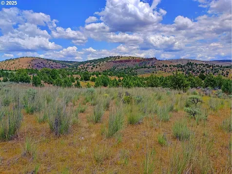 Wiley Creek Road Dayville OR 97825