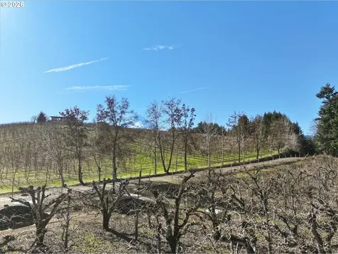4360 Dog River Road Mt Hood Prkdl OR 97041