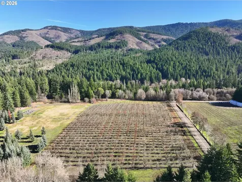 4360 Dog River Road Mt Hood Prkdl OR 97041