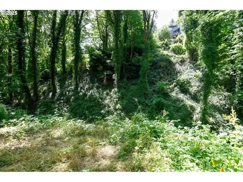 SW Condor Avenue Portland OR 97239
