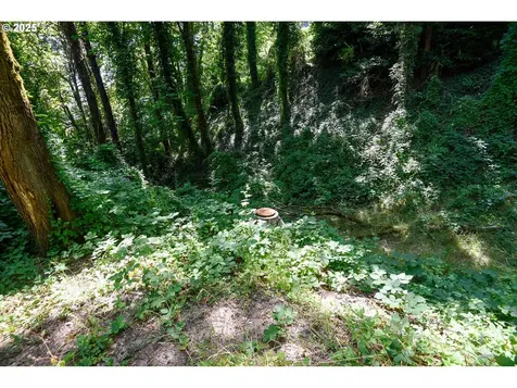 SW Condor Avenue Portland OR 97239