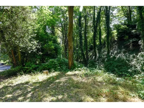 SW Condor Avenue Portland OR 97239