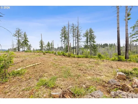NE Viewcrest Court Otis OR 97368