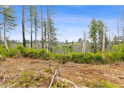 NE Viewcrest Court Otis OR 97368