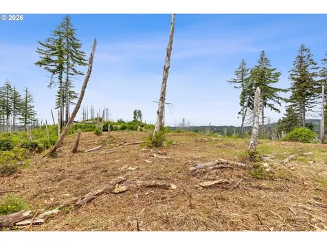 NE Viewcrest Court Otis OR 97368