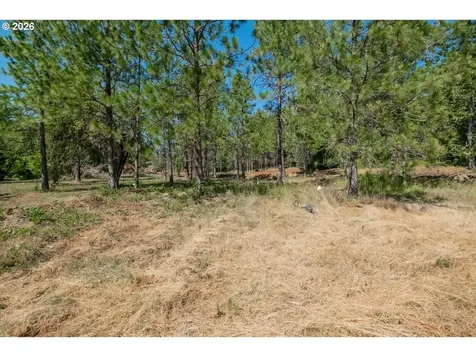 38835 Crawfordsville Drive Sweet Home OR 97386