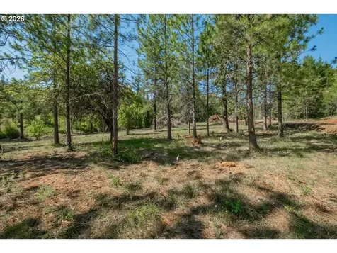 38835 Crawfordsville Drive Sweet Home OR 97386