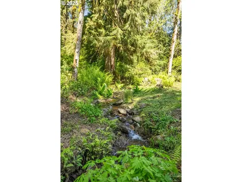 225 N Dubois Road Ariel WA 98603