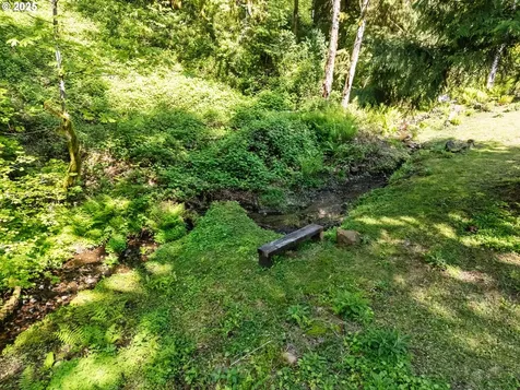 225 N Dubois Road Ariel WA 98603