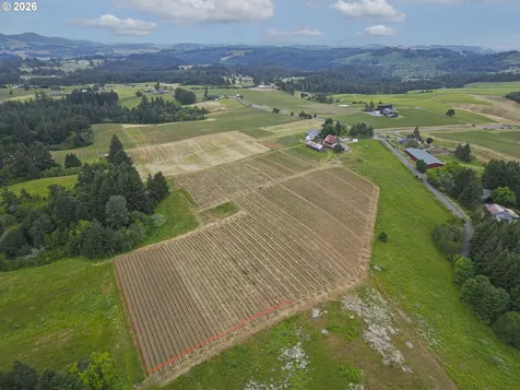 21080 NE Ribbon Ridge Road Newberg OR 97132