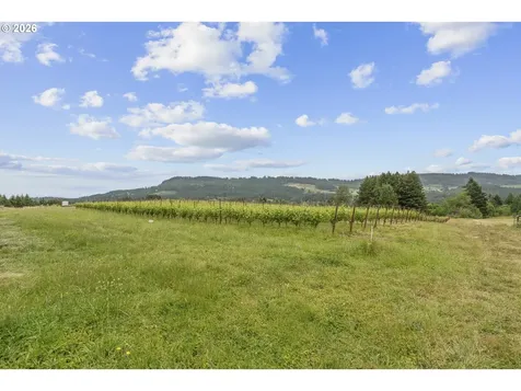 21080 NE Ribbon Ridge Road Newberg OR 97132