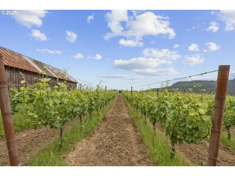 21080 NE Ribbon Ridge Road Newberg OR 97132
