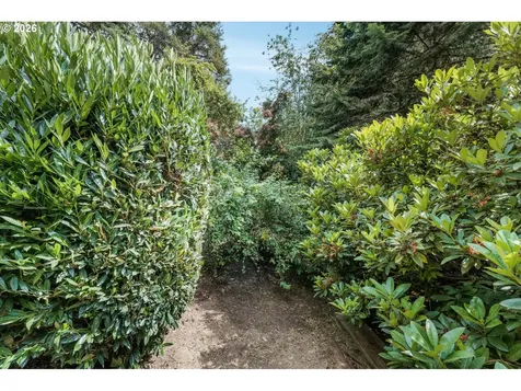 14895 SW 141st Avenue Portland OR 97224