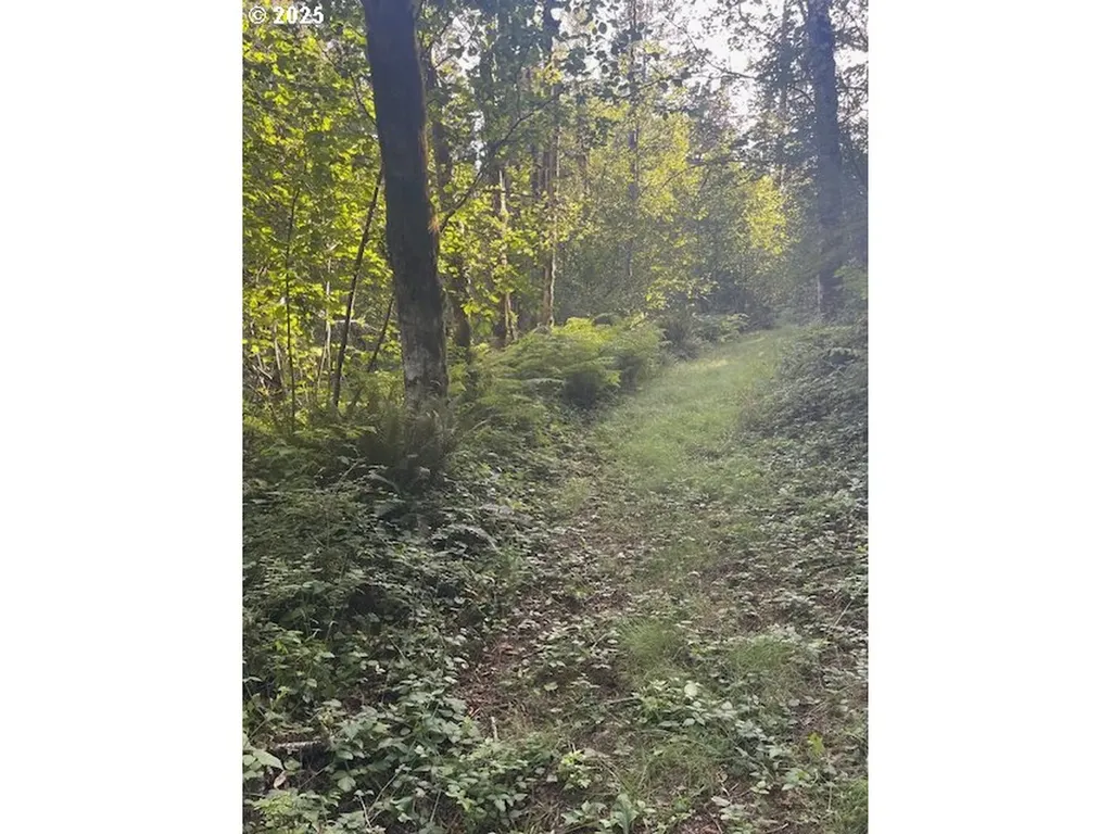 0 Matthews Road Washougal WA 98671