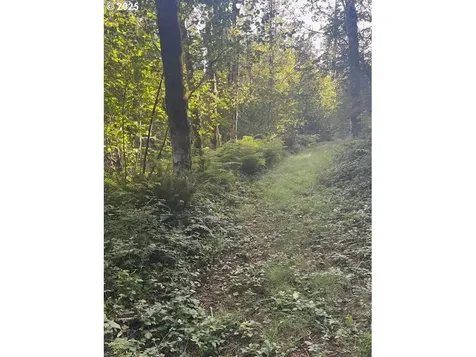 0 Matthews Road Washougal WA 98671