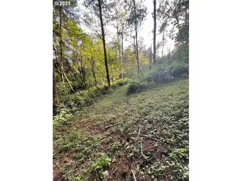 0 Matthews Road Washougal WA 98671