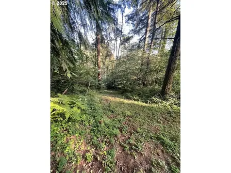 0 Matthews Road Washougal WA 98671