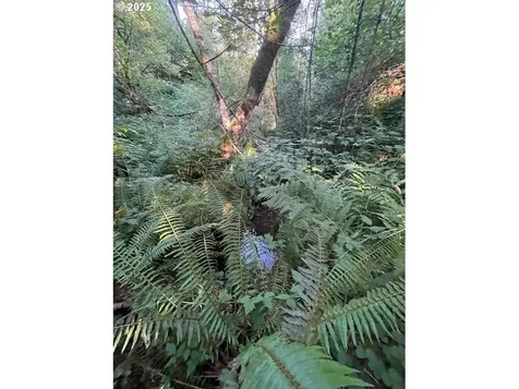 0 Matthews Road Washougal WA 98671