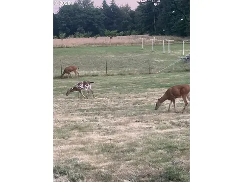 27737 SE Currin Road Estacada OR 97023
