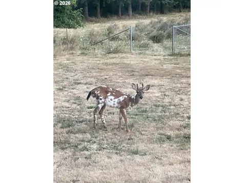 27737 SE Currin Road Estacada OR 97023