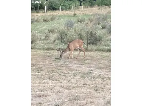 27737 SE Currin Road Estacada OR 97023