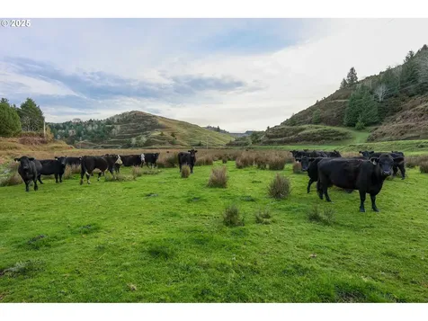 70033 Larsen Ranch Road North Bend OR 97459