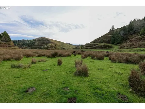 70033 Larsen Ranch Road North Bend OR 97459