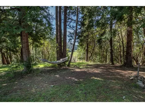 22638 Tiller Trail Highway Days Creek OR 97429