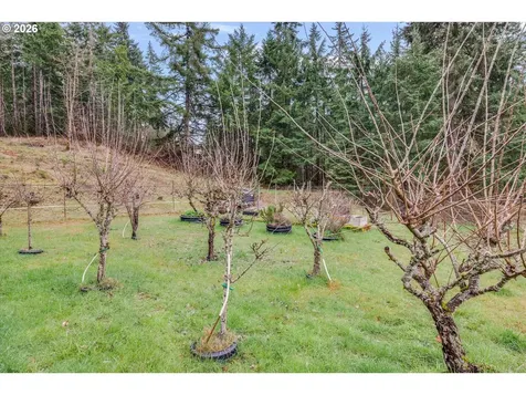 3805 Briar Knob Loop Scotts Mills OR 97375