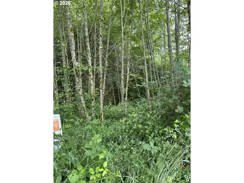 488 Ravenwood Road Kelso WA 98626