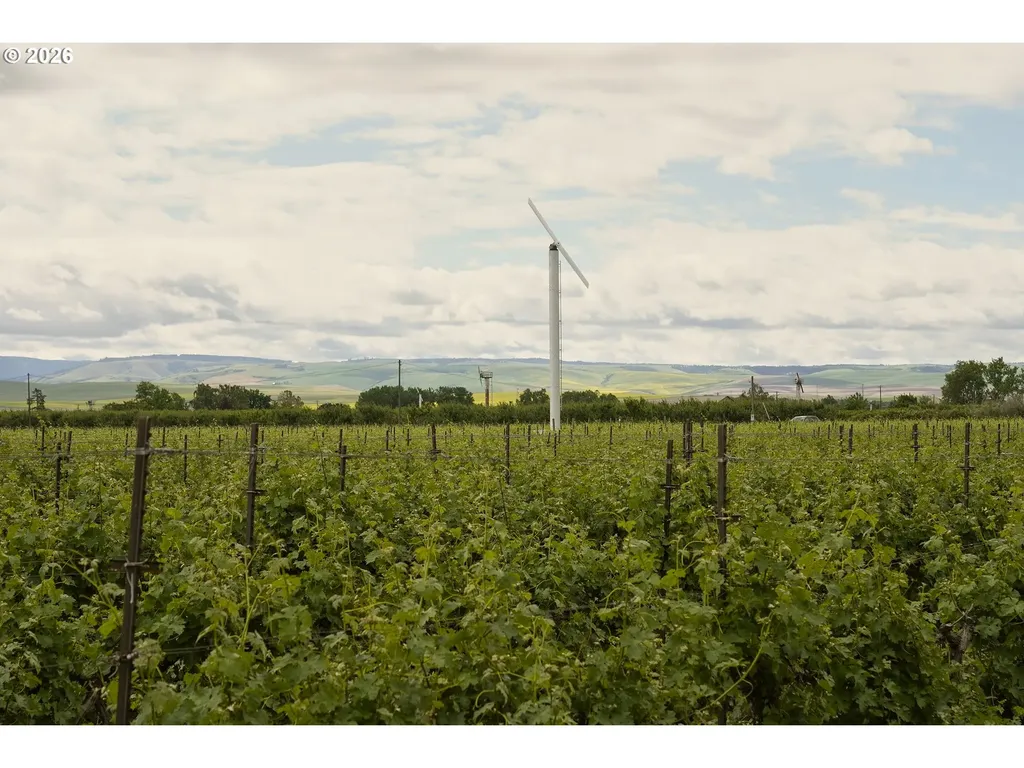 84427 Highway 339 Milton-freewater OR 97862