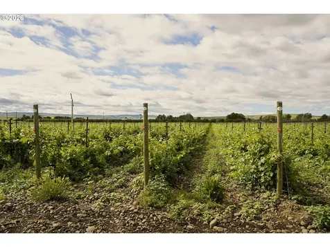 84427 Highway 339 Milton-freewater OR 97862