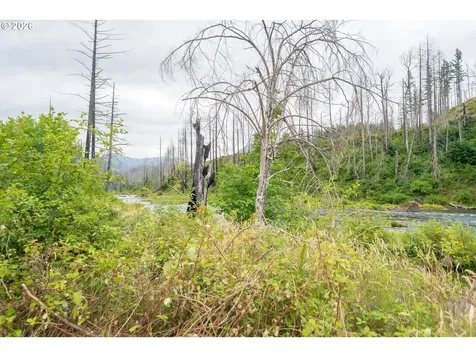35220 N Santiam Highway SE Gates OR 97346