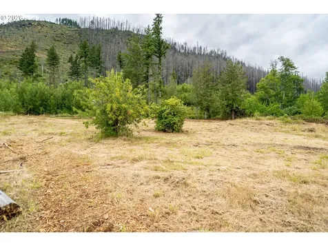 35220 N Santiam Highway SE Gates OR 97346