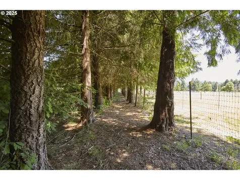 40920 NW Maple Ridge Road Woodland WA 98674