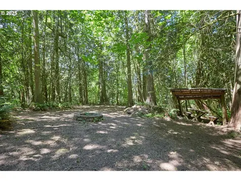 40920 NW Maple Ridge Road Woodland WA 98674
