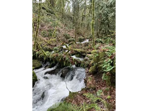 40920 NW Maple Ridge Road Woodland WA 98674