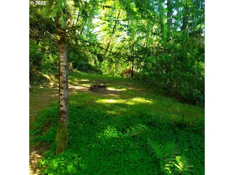 9247 Highway 126 Mapleton OR 97453