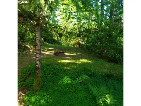 9247 Highway 126 Mapleton OR 97453