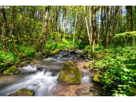 2838 Lewis River Road Woodland WA 98674
