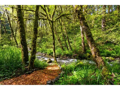 2838 Lewis River Road Woodland WA 98674