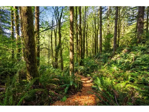 2838 Lewis River Road Woodland WA 98674