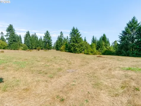32719 NE Button Drive La Center WA 98629