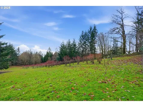 21645 NE Mccormick Hill Road Hillsboro OR 97123