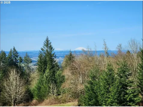 21645 NE Mccormick Hill Road Hillsboro OR 97123